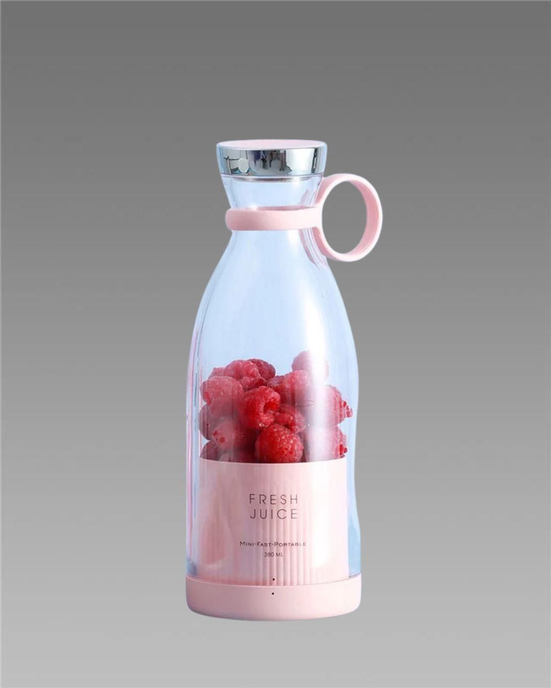 Powerful Mini Juice Blender